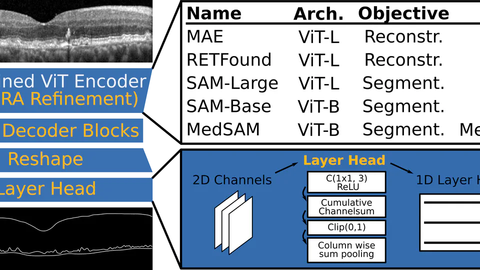 Foundation Models Permit Retinal Layer Segmentation Across OCT Devices